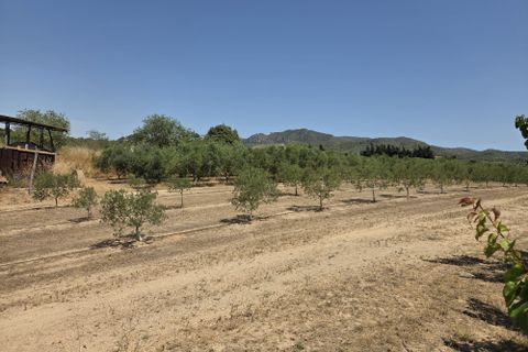 Finca i Ginestar, Tarragona, Ginestar - € 15.000 | Ref: 1018 Ginfrancis - foto 5